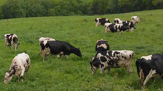 AGROTURISMO: CONOCE NUESTRA HISTORIA