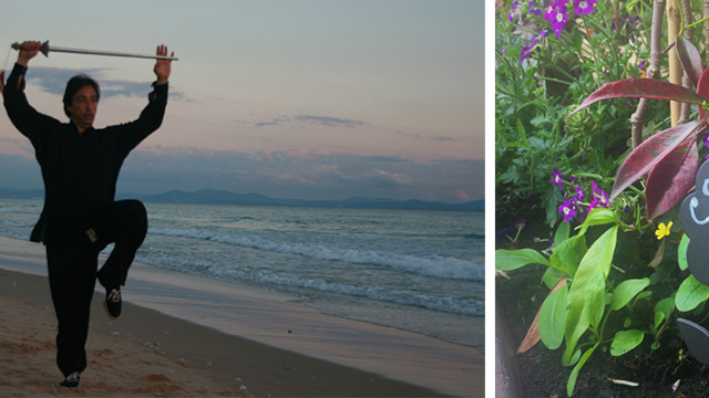 DATE UN RESPIRO, SINTONIZA EL NATURAL