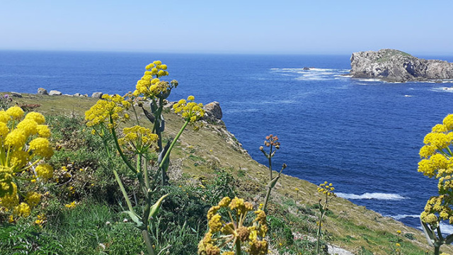 RUTA ENTRE FAROS Y BATERÍAS