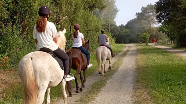 RUTA A CABALLO POR FERROLTERRA