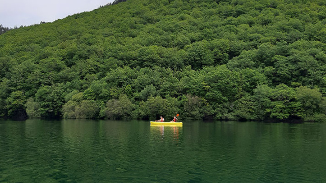 NAVEGACIÓN POR LOS SECRETOS DE LOS BOSQUES