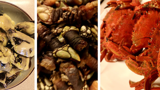 DESCUBRE LOS SABORES MAS AUTÉNTICOS DE NUESTRA TIERRA