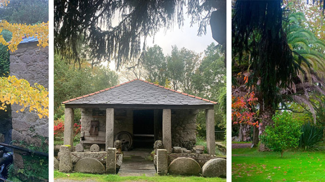 JORNADA PARA EL BIENESTAR