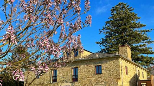 Araucaria House