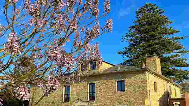 Araucaria House